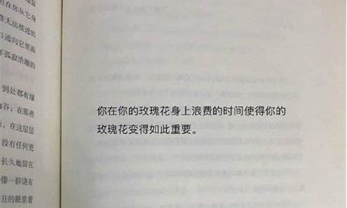 惊艳了世人的书摘文案段落_惊艳了世人的书摘文案段落大全