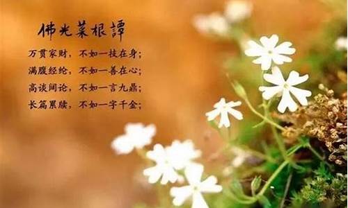 菜根谭十大经典名句_菜根谭名句集锦大全