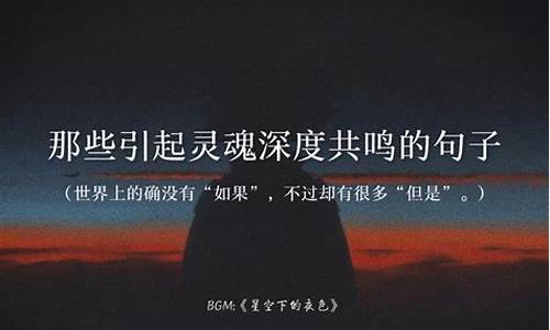 灵魂共鸣最精辟的句子_灵魂共鸣最精辟的句子是什么