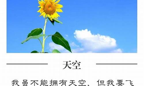 美句欣赏大全_美句欣赏大全摘抄